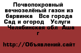 Почвопокровный, вечнозелёный газон из барвинка - Все города Сад и огород » Услуги   . Челябинская обл.,Аша г.